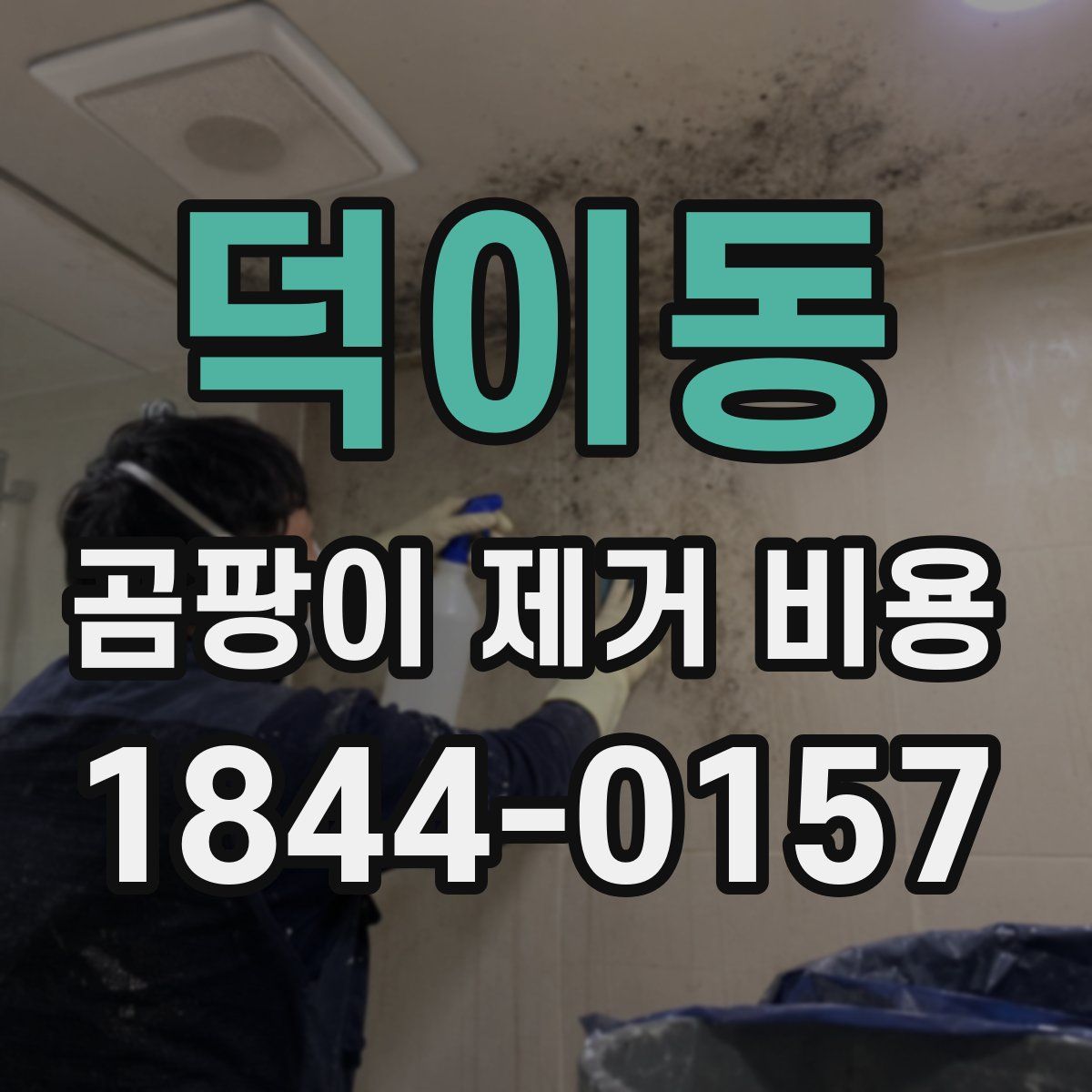 덕이동 곰팡이 제거 비용
