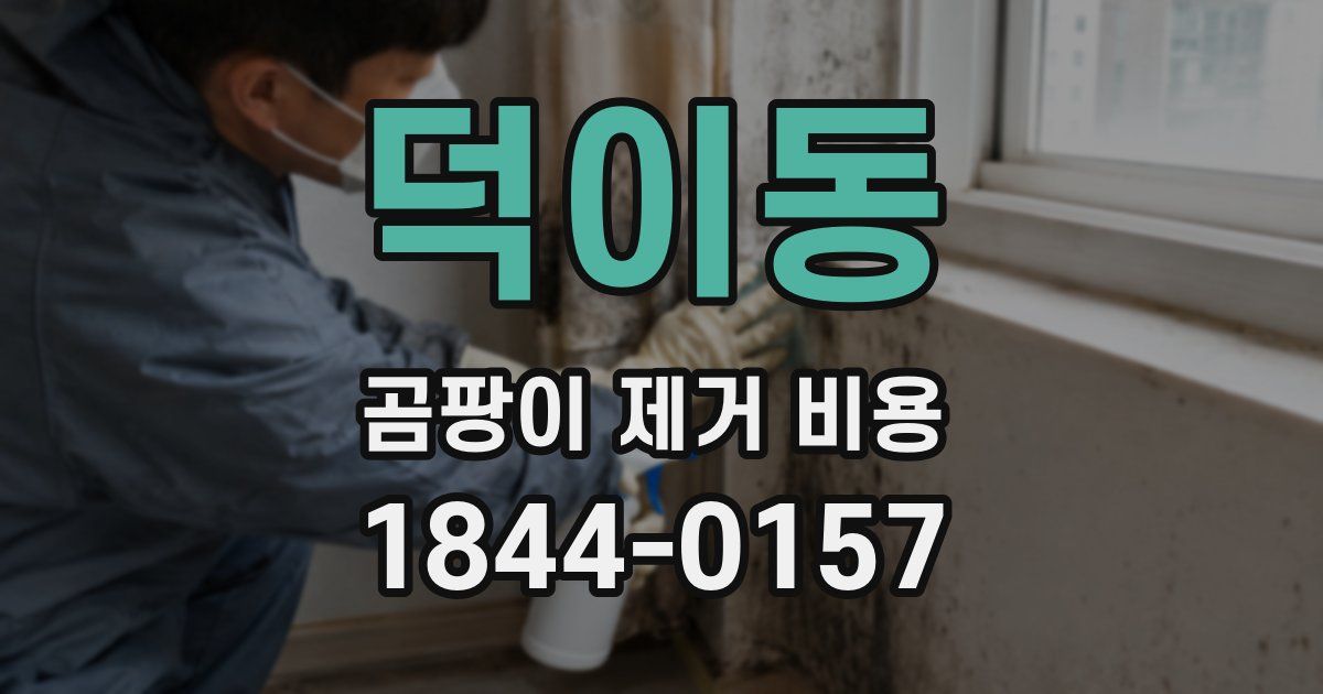 덕이동 곰팡이 제거 비용