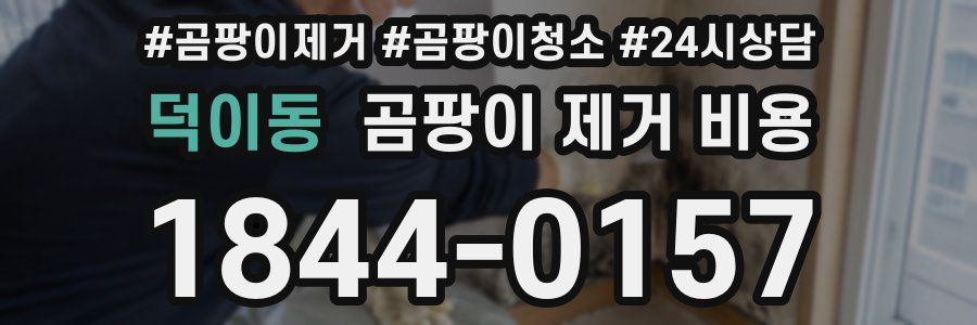 덕이동 곰팡이 제거 비용