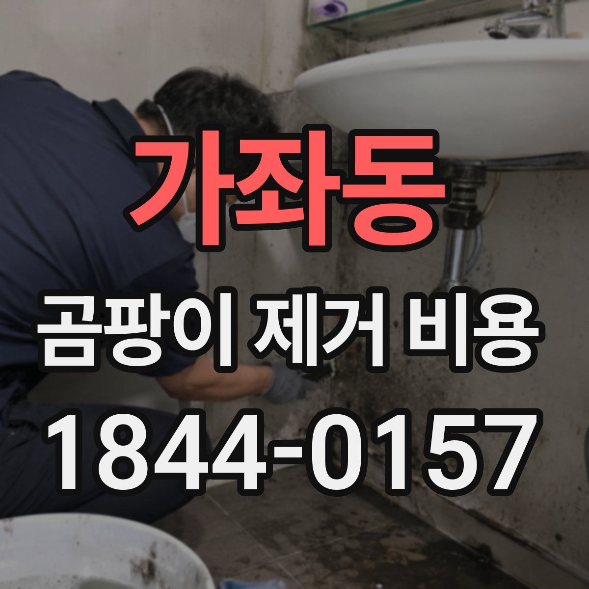 가좌동 곰팡이 제거 비용