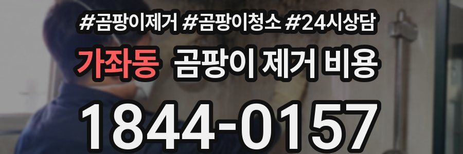 가좌동 곰팡이 제거 비용