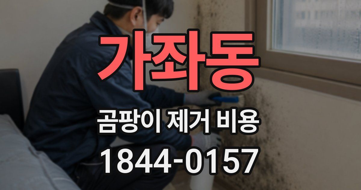 가좌동 곰팡이 제거 비용
