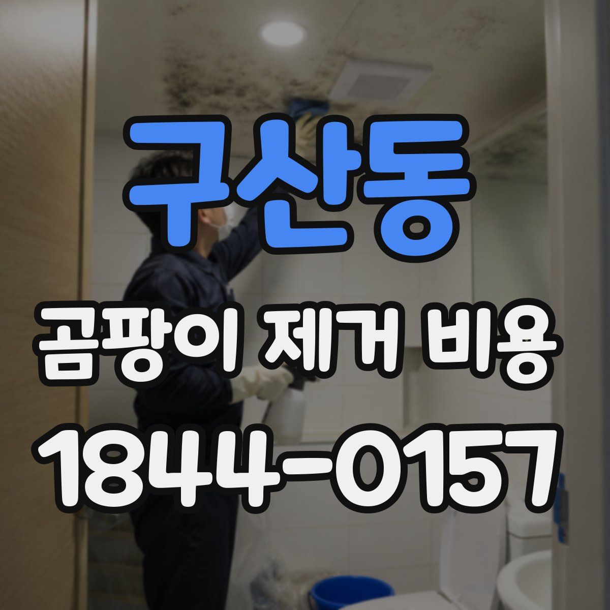 구산동 곰팡이 제거 비용