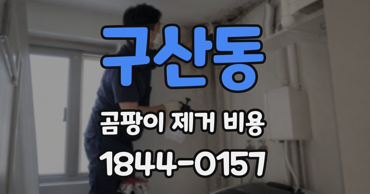 구산동 곰팡이 제거 비용