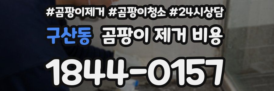 구산동 곰팡이 제거 비용