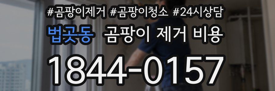 법곳동 곰팡이 제거 비용