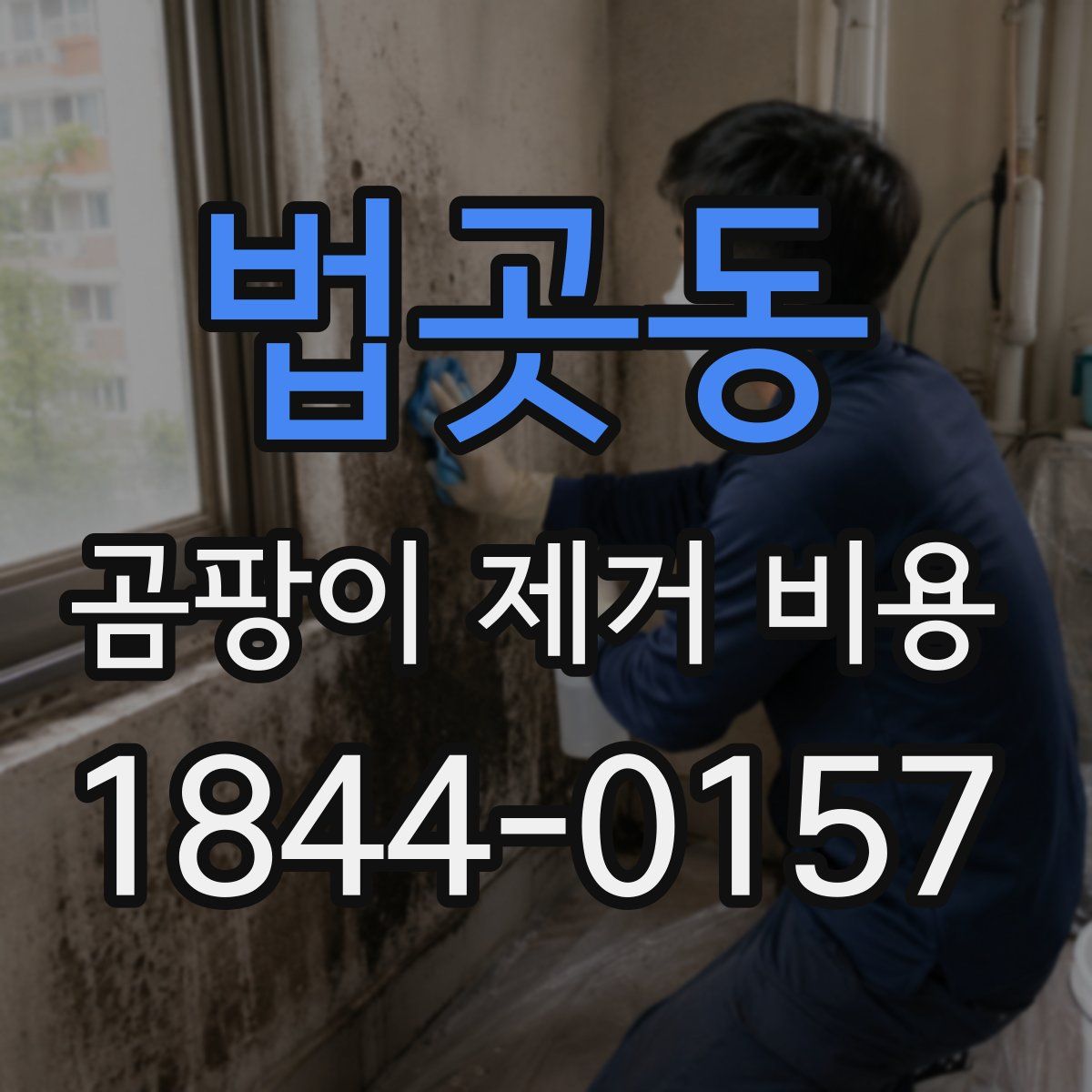 법곳동 곰팡이 제거 비용