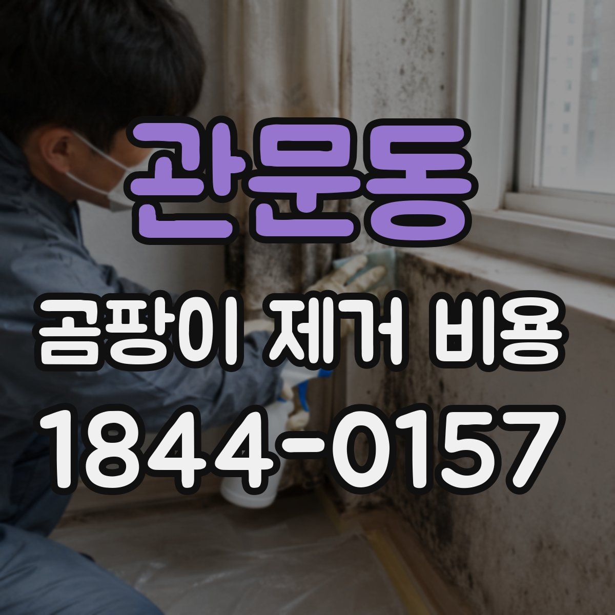 관문동 곰팡이 제거 비용