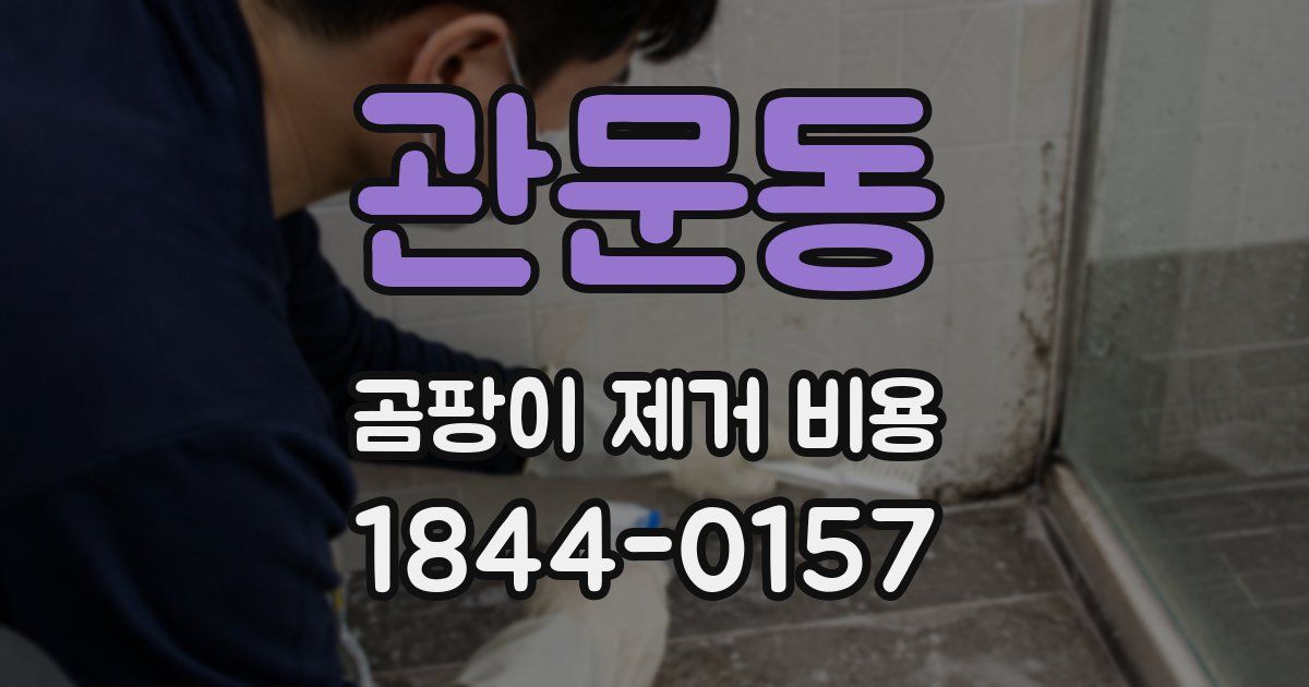 관문동 곰팡이 제거 비용