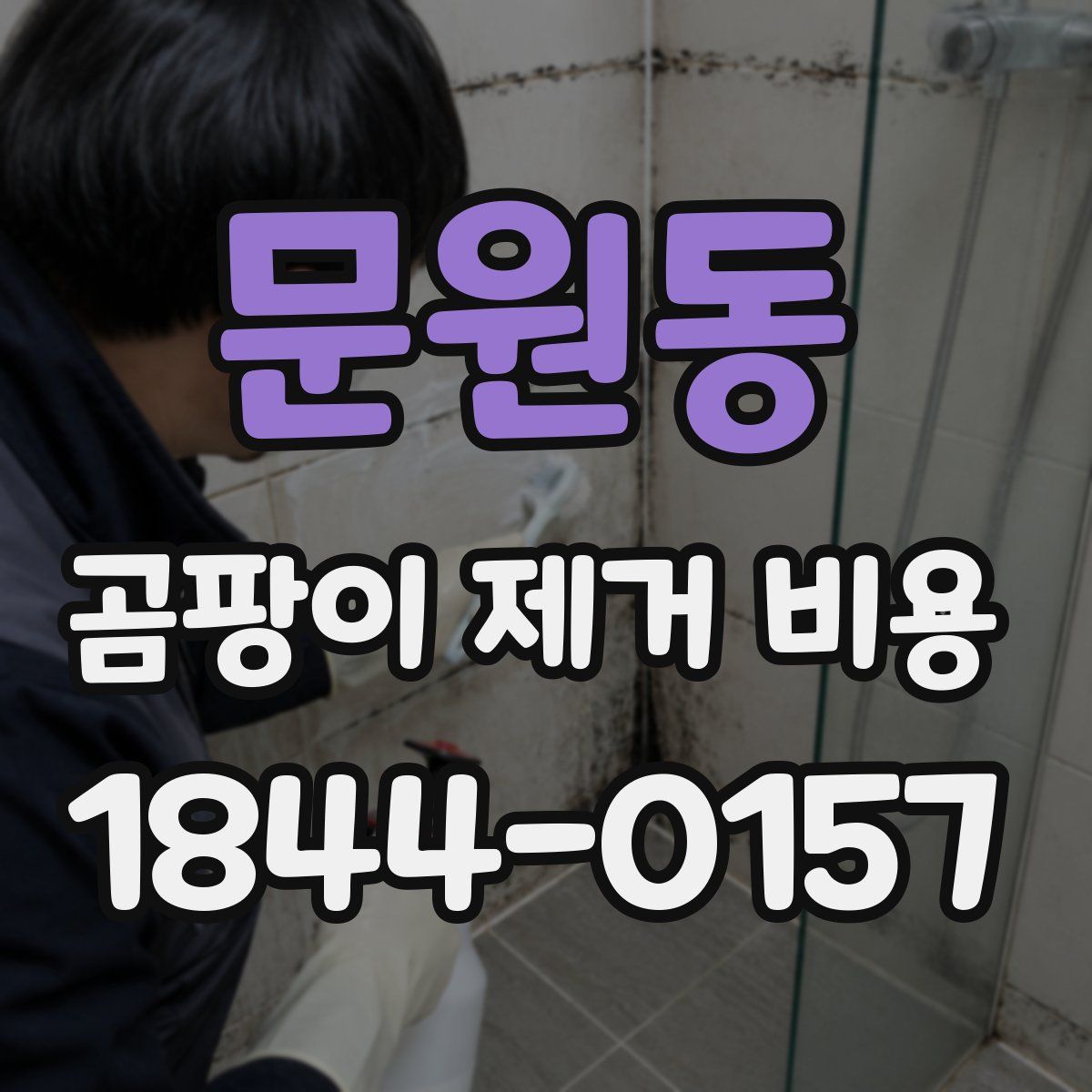 문원동 곰팡이 제거 비용