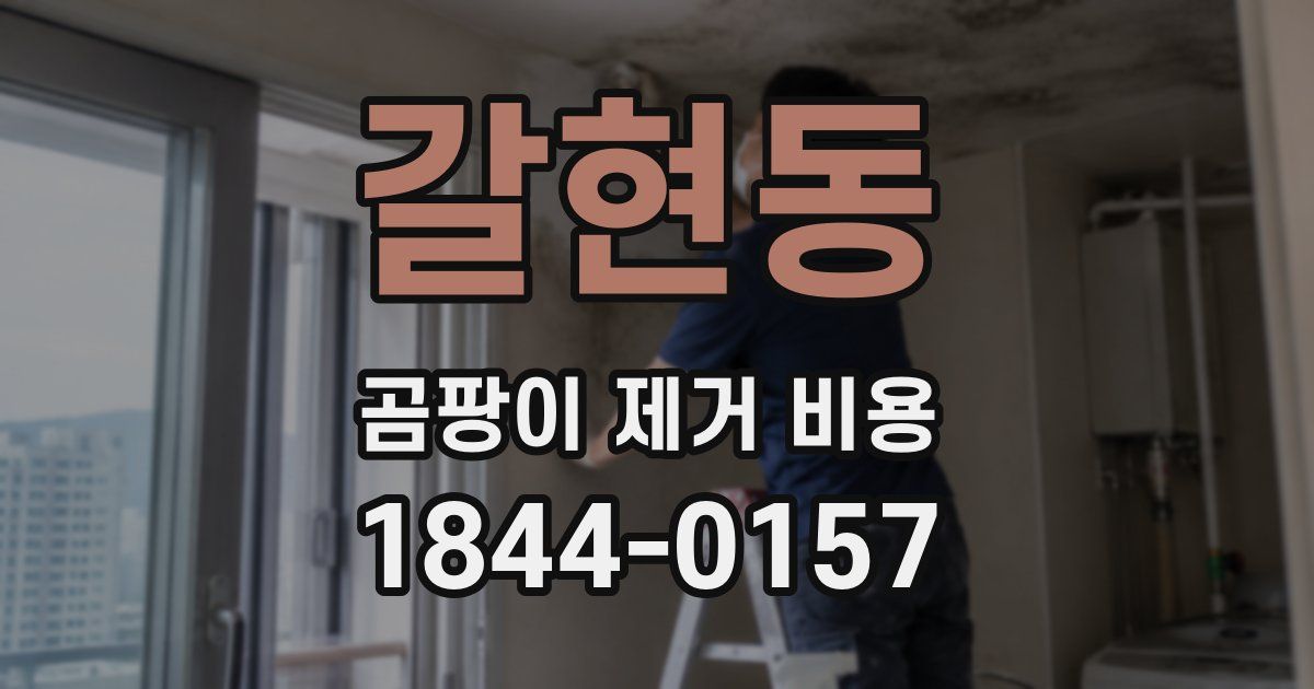 갈현동 곰팡이 제거 비용