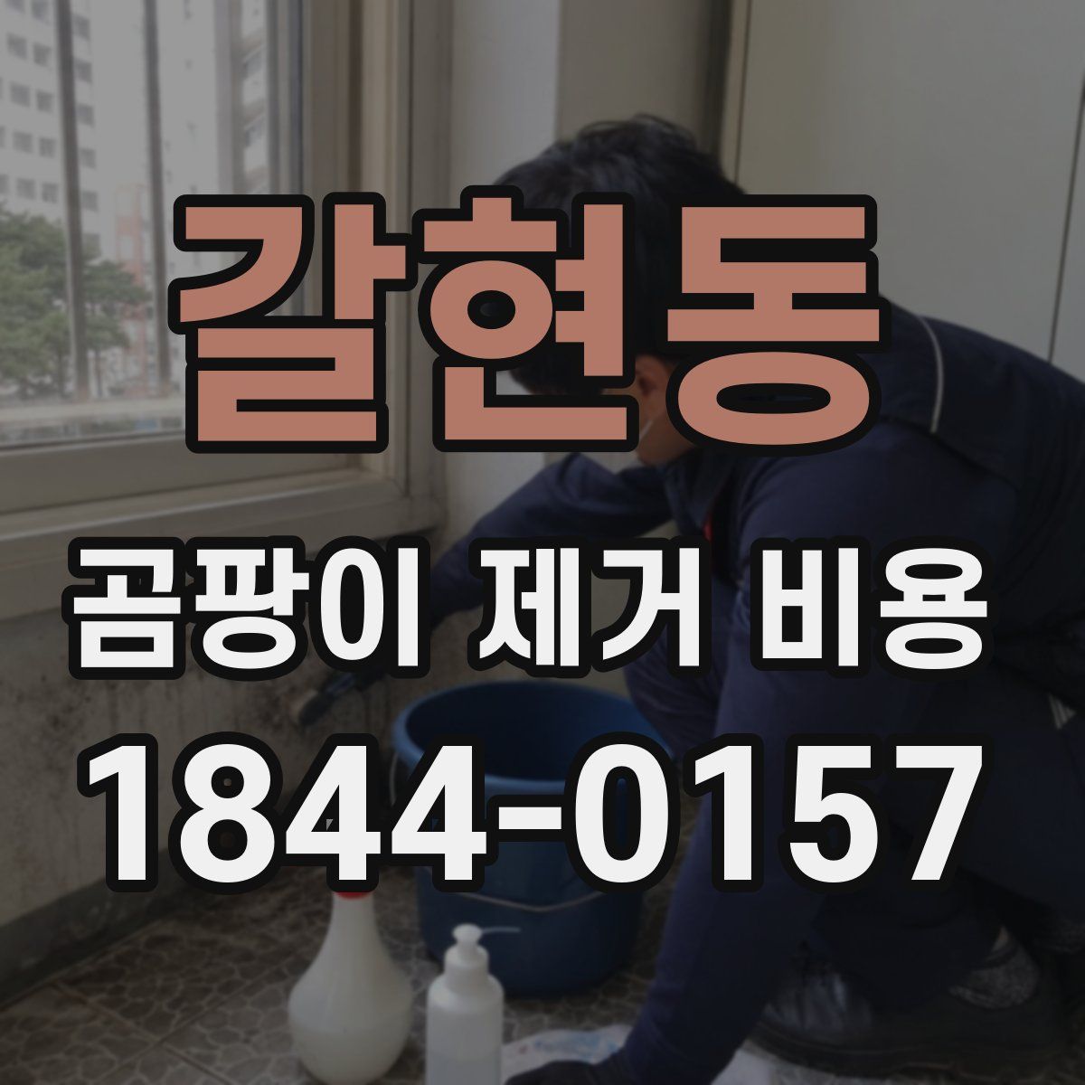 갈현동 곰팡이 제거 비용