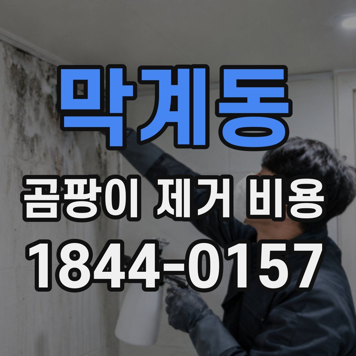 막계동 곰팡이 제거 비용