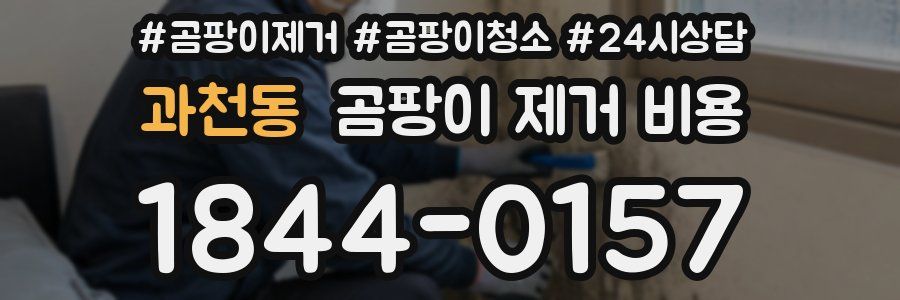 과천동 곰팡이 제거 비용