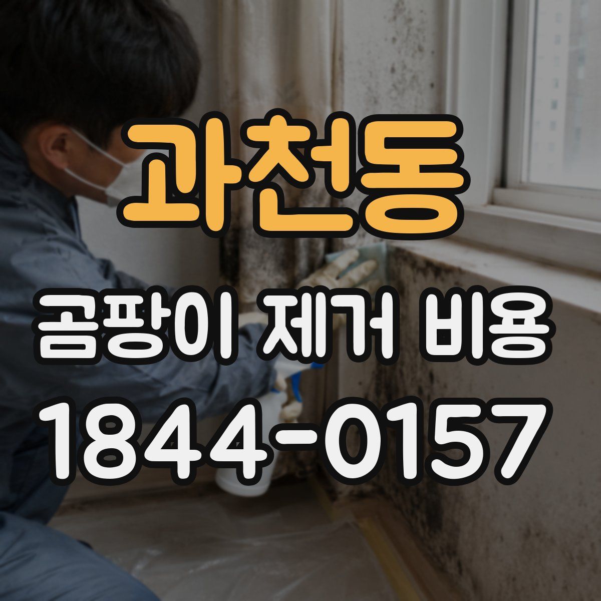 과천동 곰팡이 제거 비용