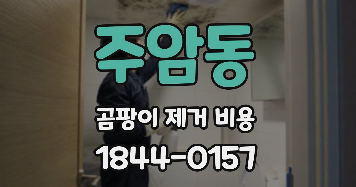 주암동 곰팡이 제거 비용