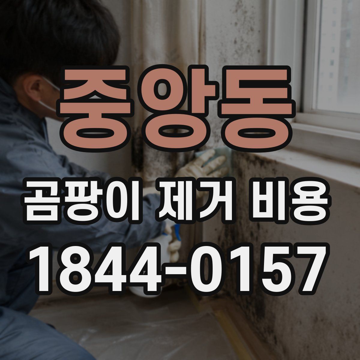 중앙동 곰팡이 제거 비용