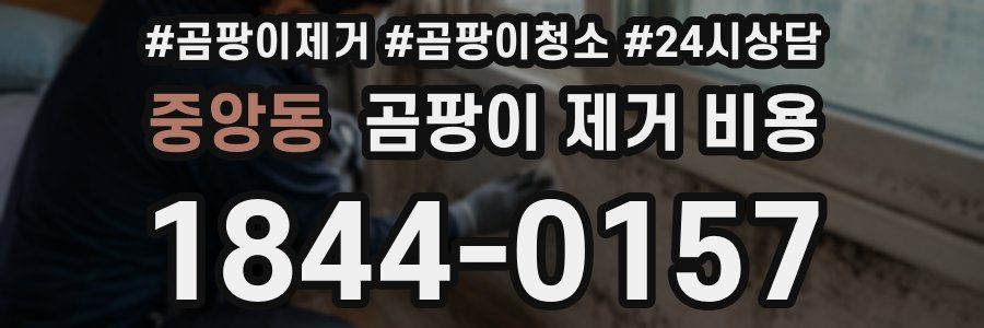 중앙동 곰팡이 제거 비용