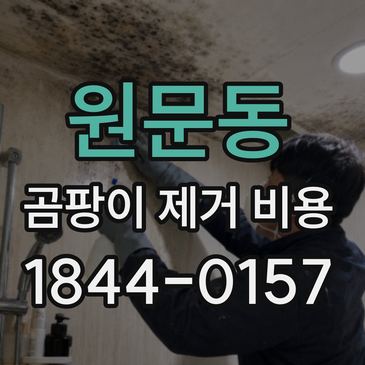 원문동 곰팡이 제거 비용