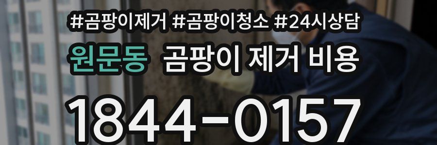 원문동 곰팡이 제거 비용