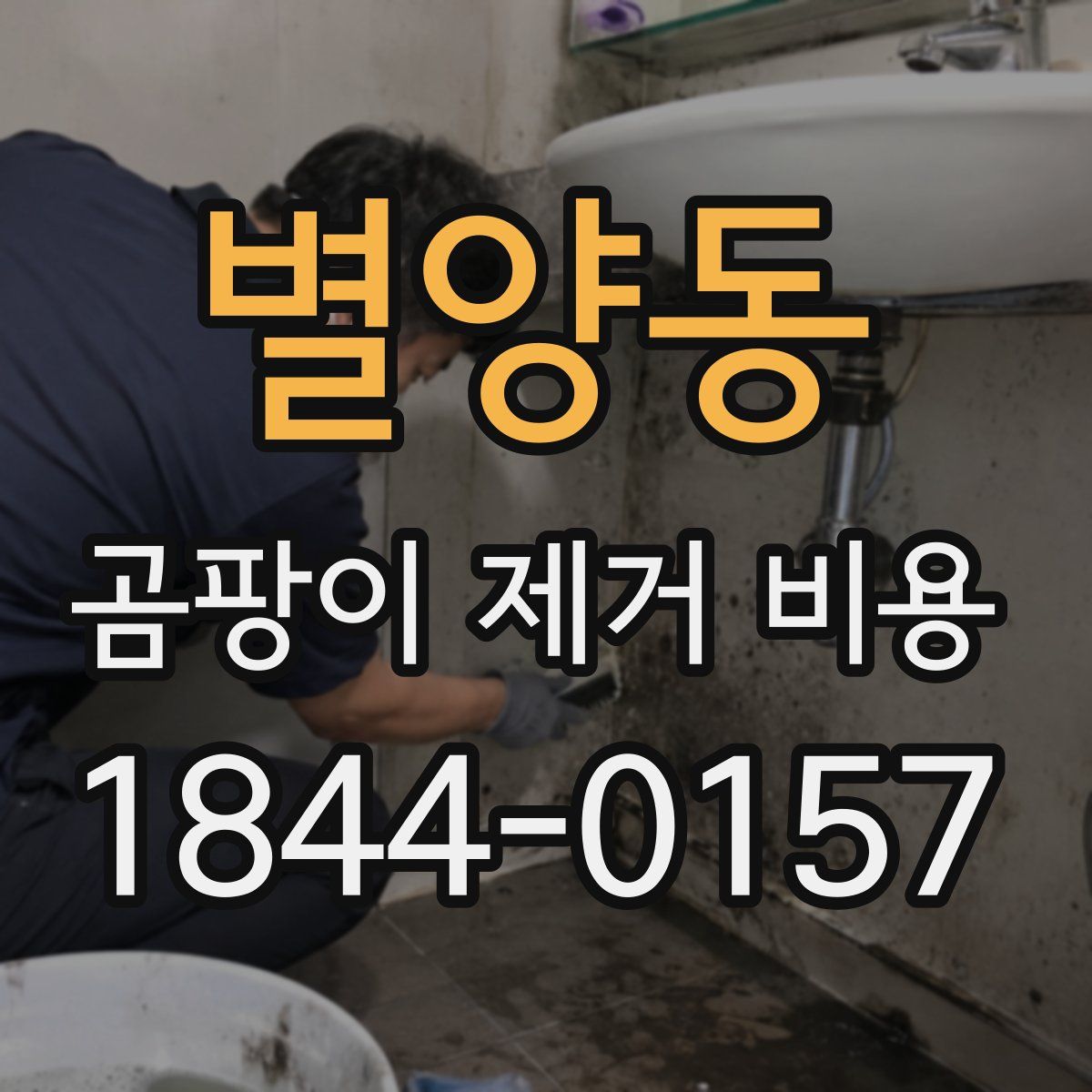 별양동 곰팡이 제거 비용