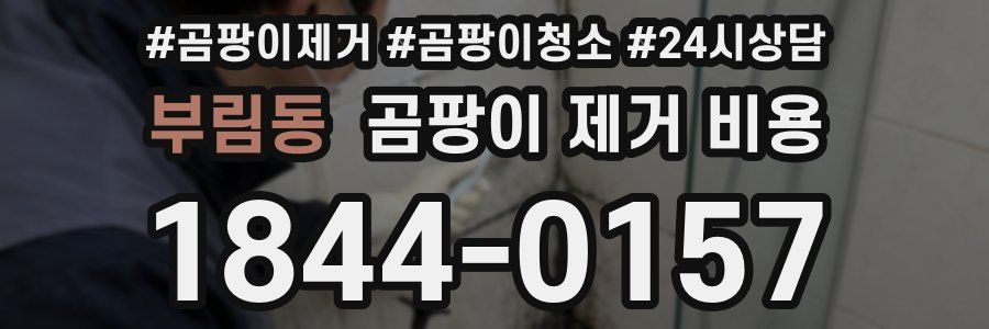 부림동 곰팡이 제거 비용