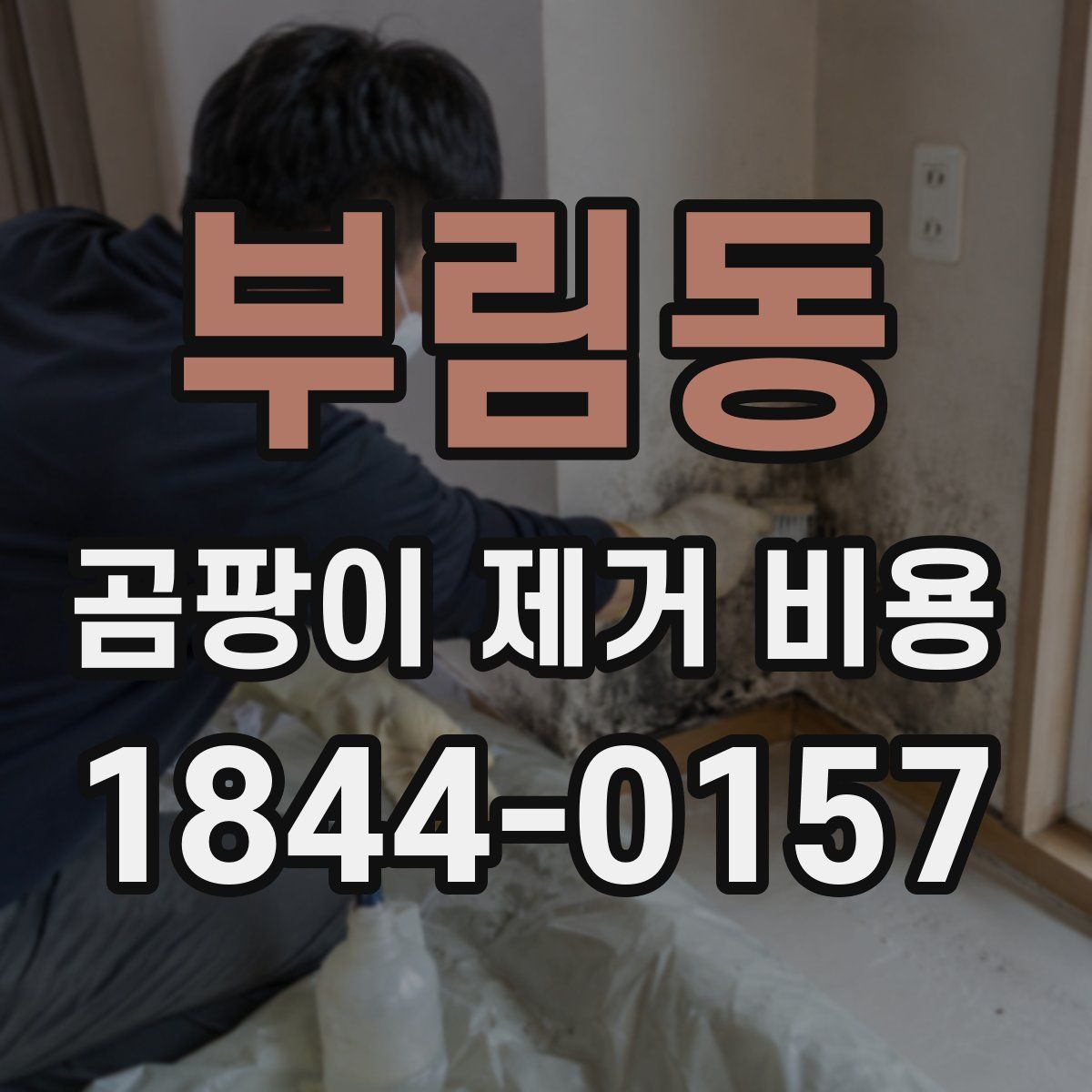 부림동 곰팡이 제거 비용