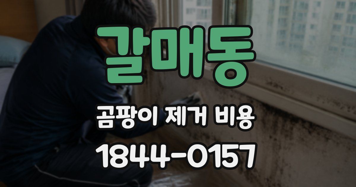 갈매동 곰팡이 제거 비용