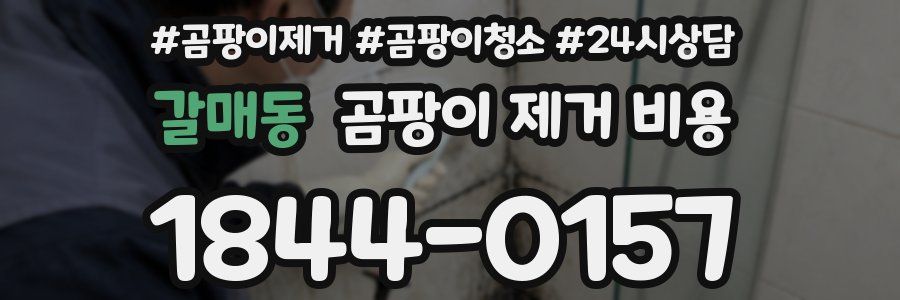 갈매동 곰팡이 제거 비용