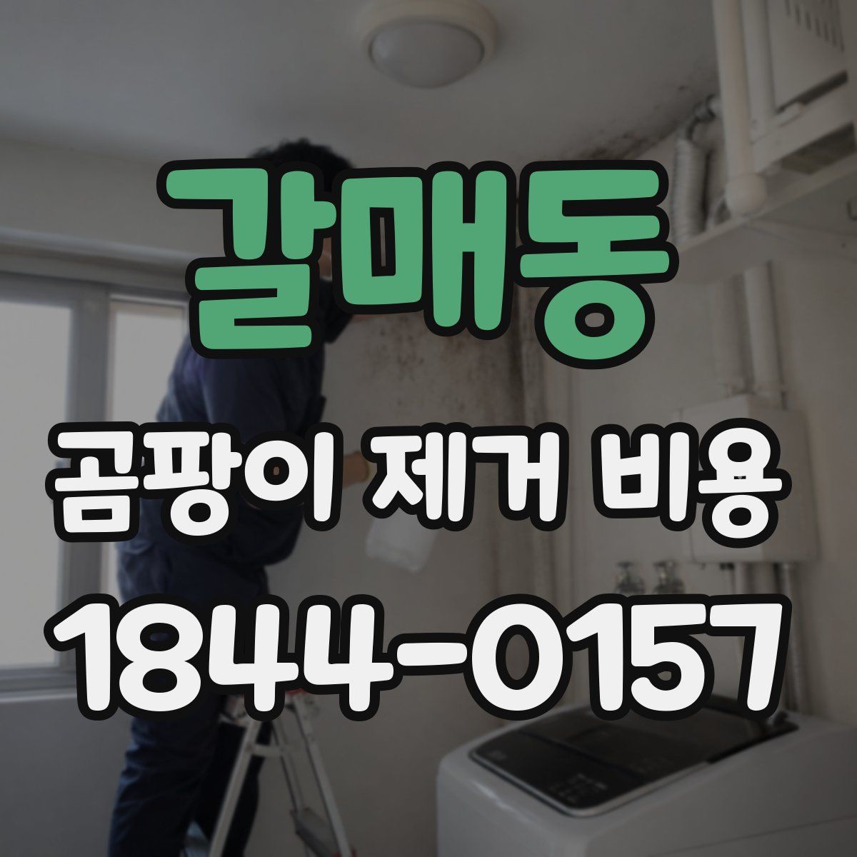 갈매동 곰팡이 제거 비용
