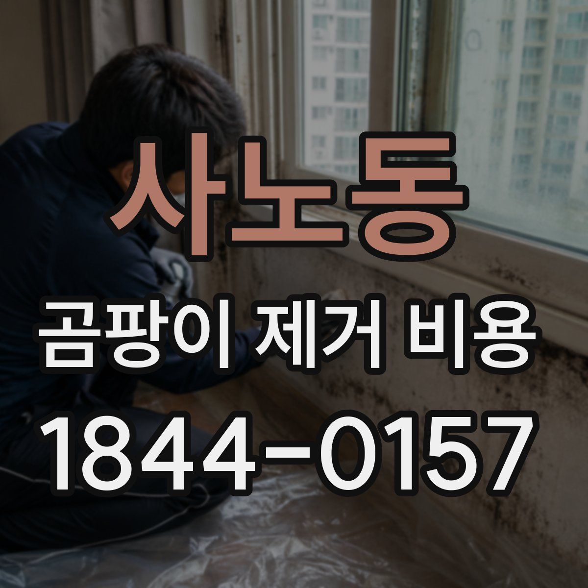 사노동 곰팡이 제거 비용