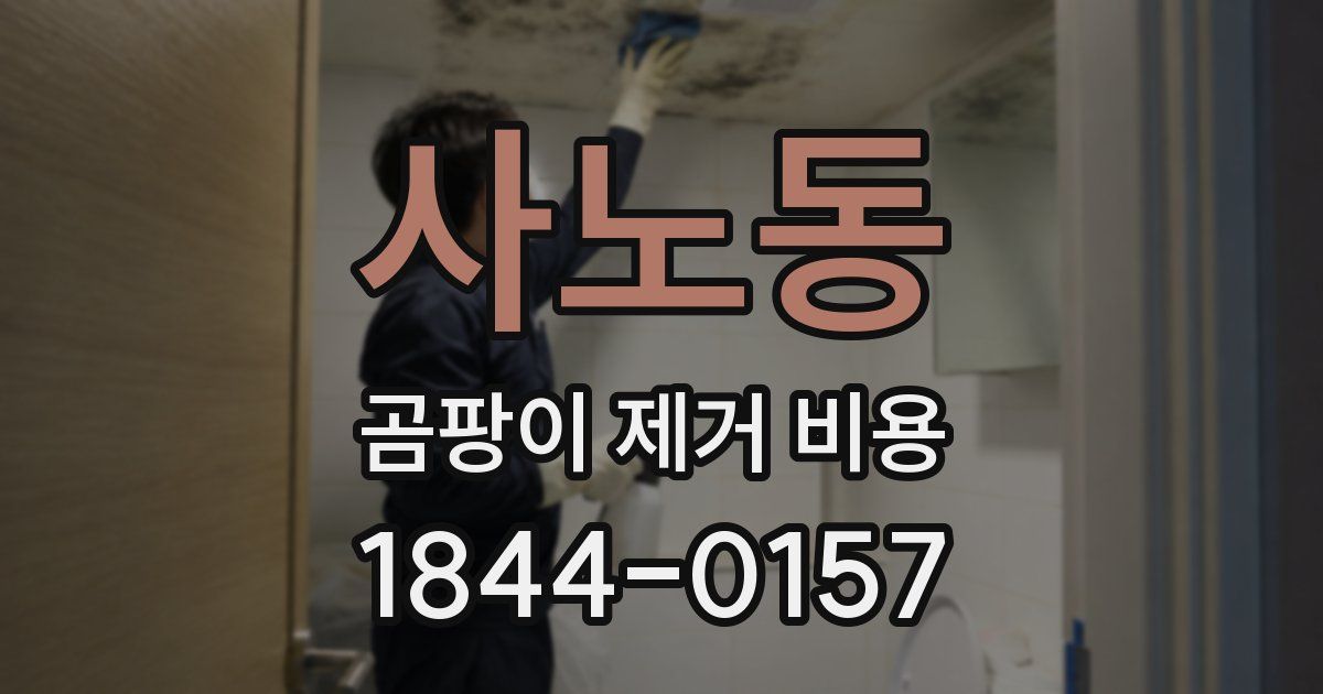 사노동 곰팡이 제거 비용
