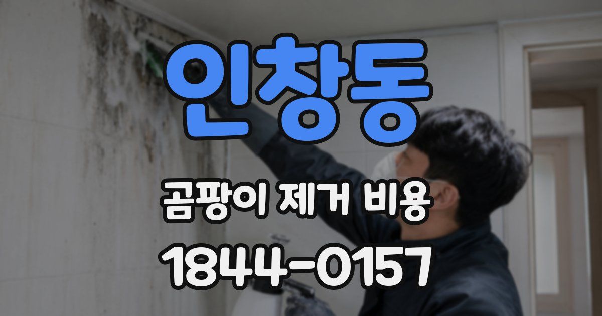 인창동 곰팡이 제거 비용