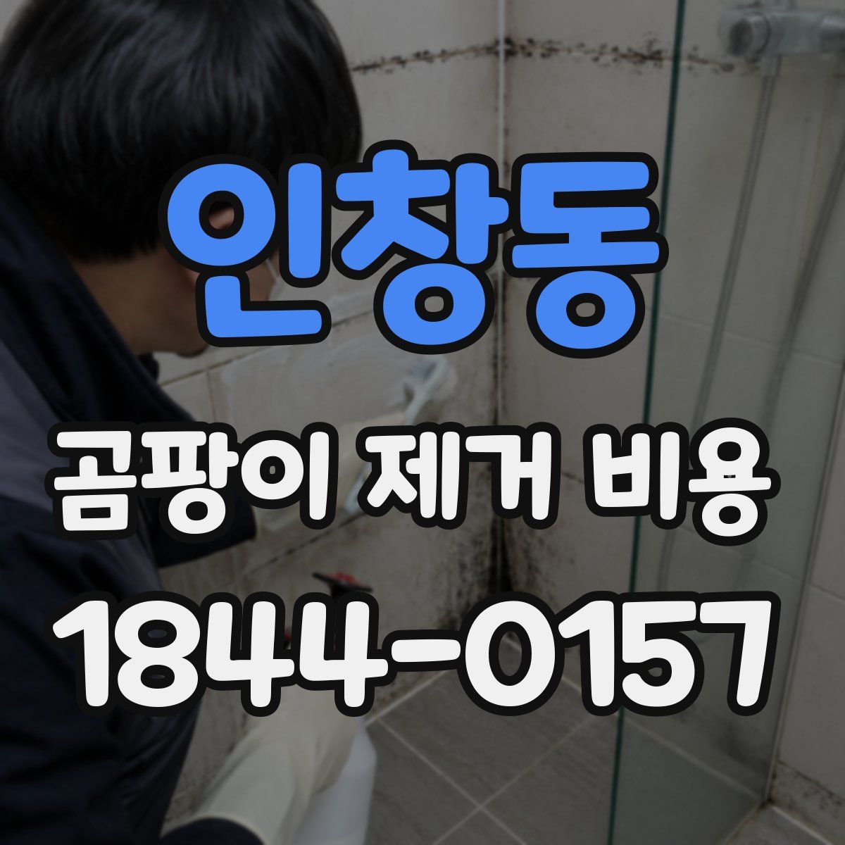 인창동 곰팡이 제거 비용