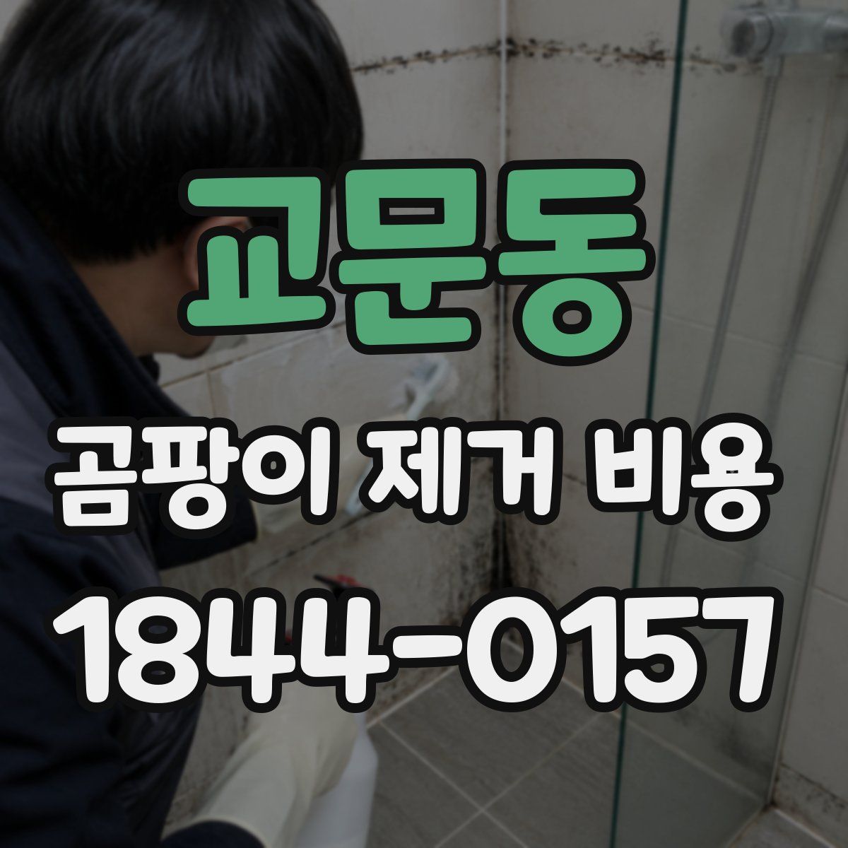 교문동 곰팡이 제거 비용
