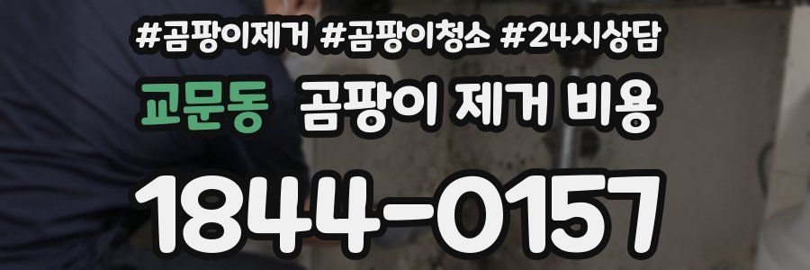 교문동 곰팡이 제거 비용