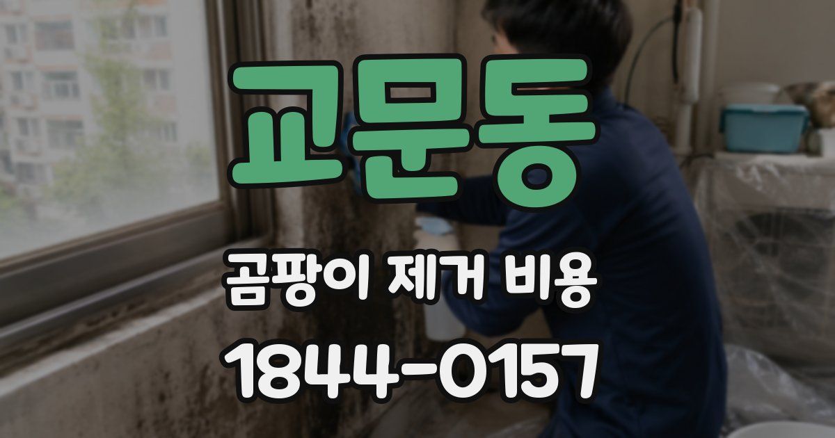 교문동 곰팡이 제거 비용