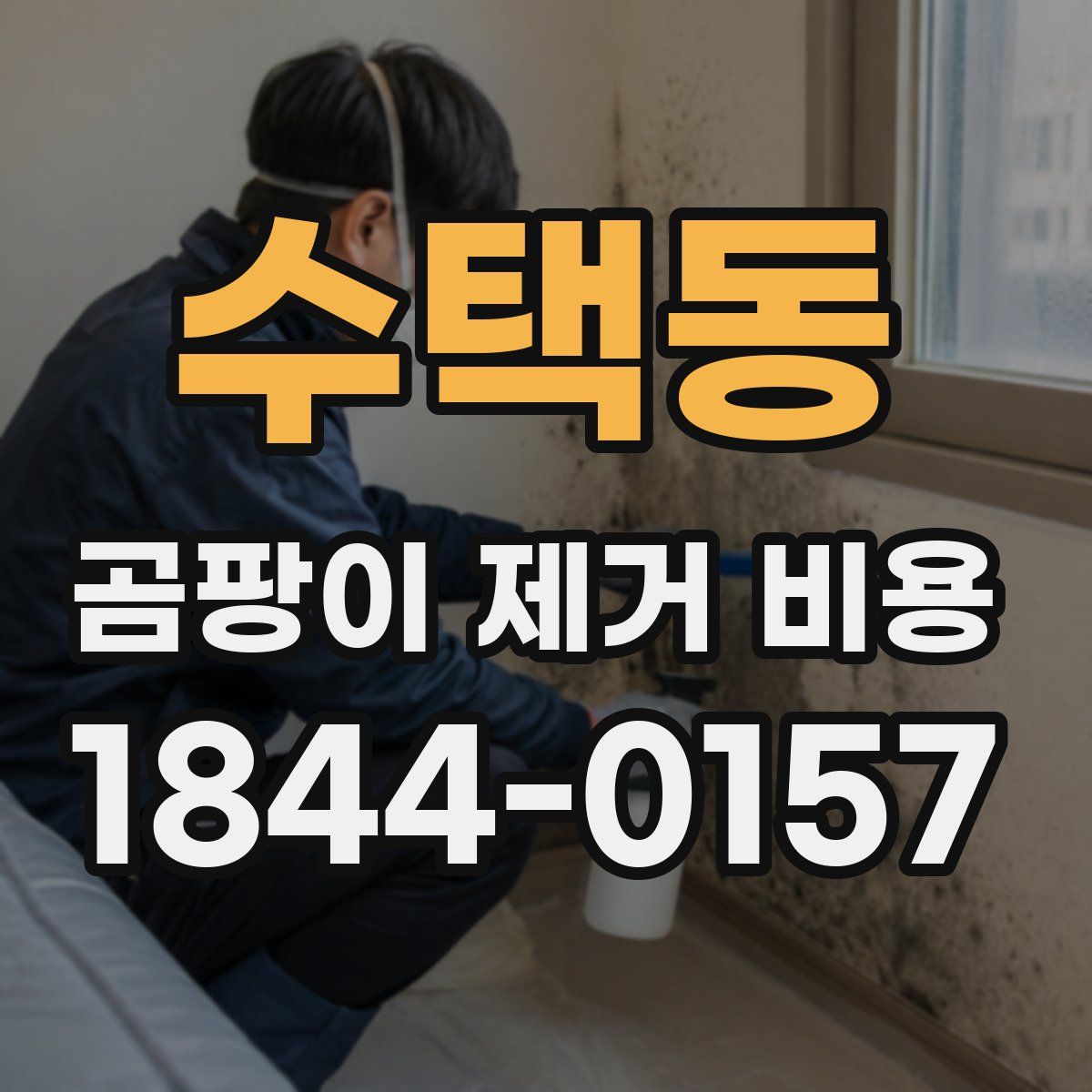 수택동 곰팡이 제거 비용
