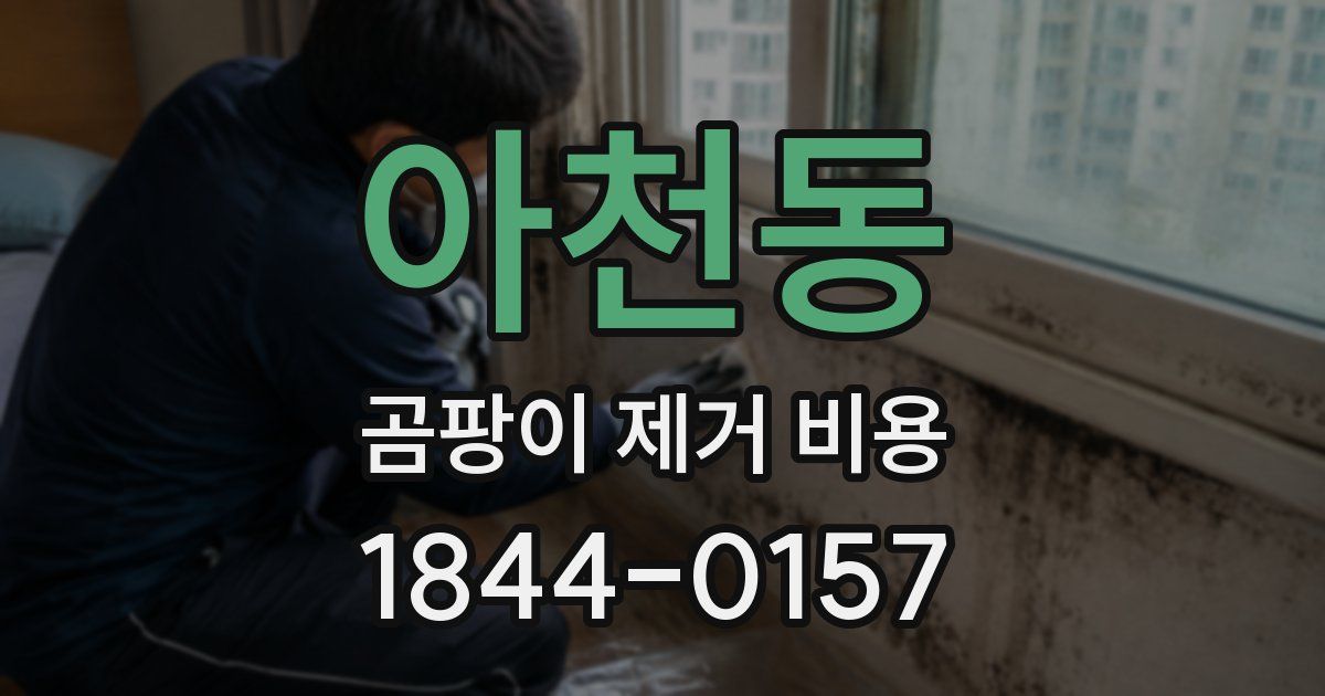 아천동 곰팡이 제거 비용