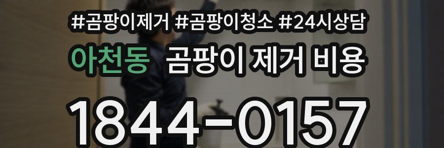 아천동 곰팡이 제거 비용