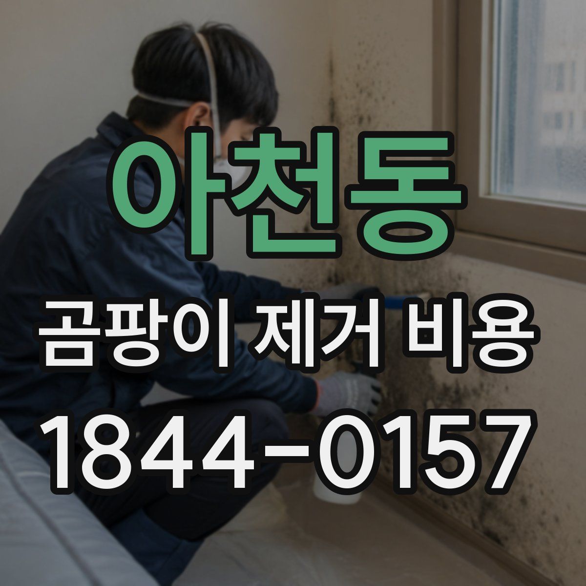 아천동 곰팡이 제거 비용