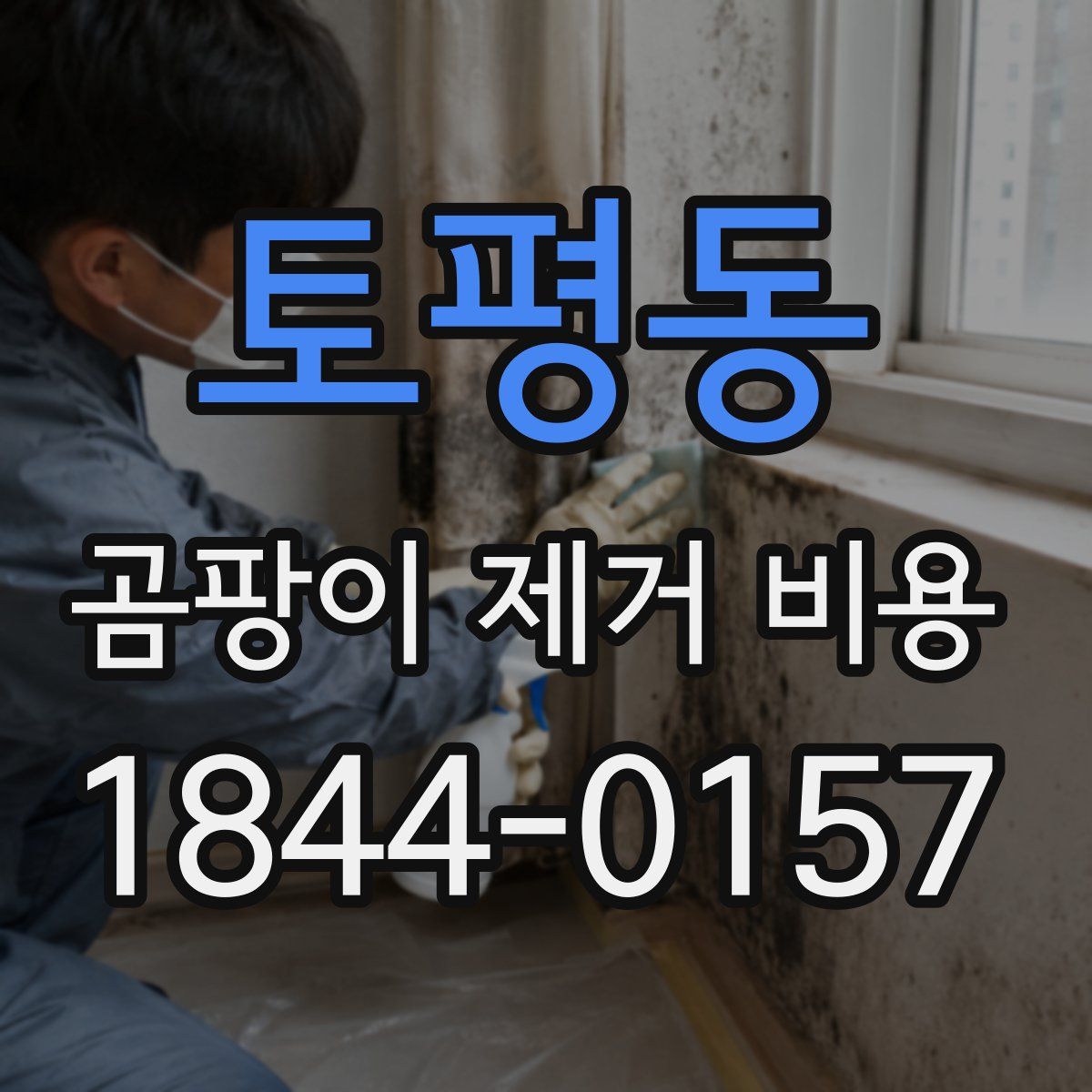 토평동 곰팡이 제거 비용