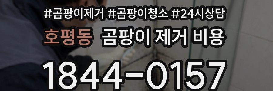 호평동 곰팡이 제거 비용