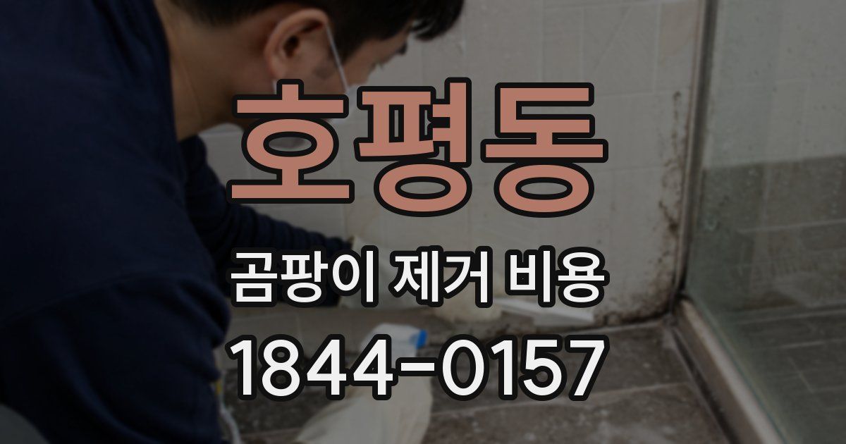 호평동 곰팡이 제거 비용