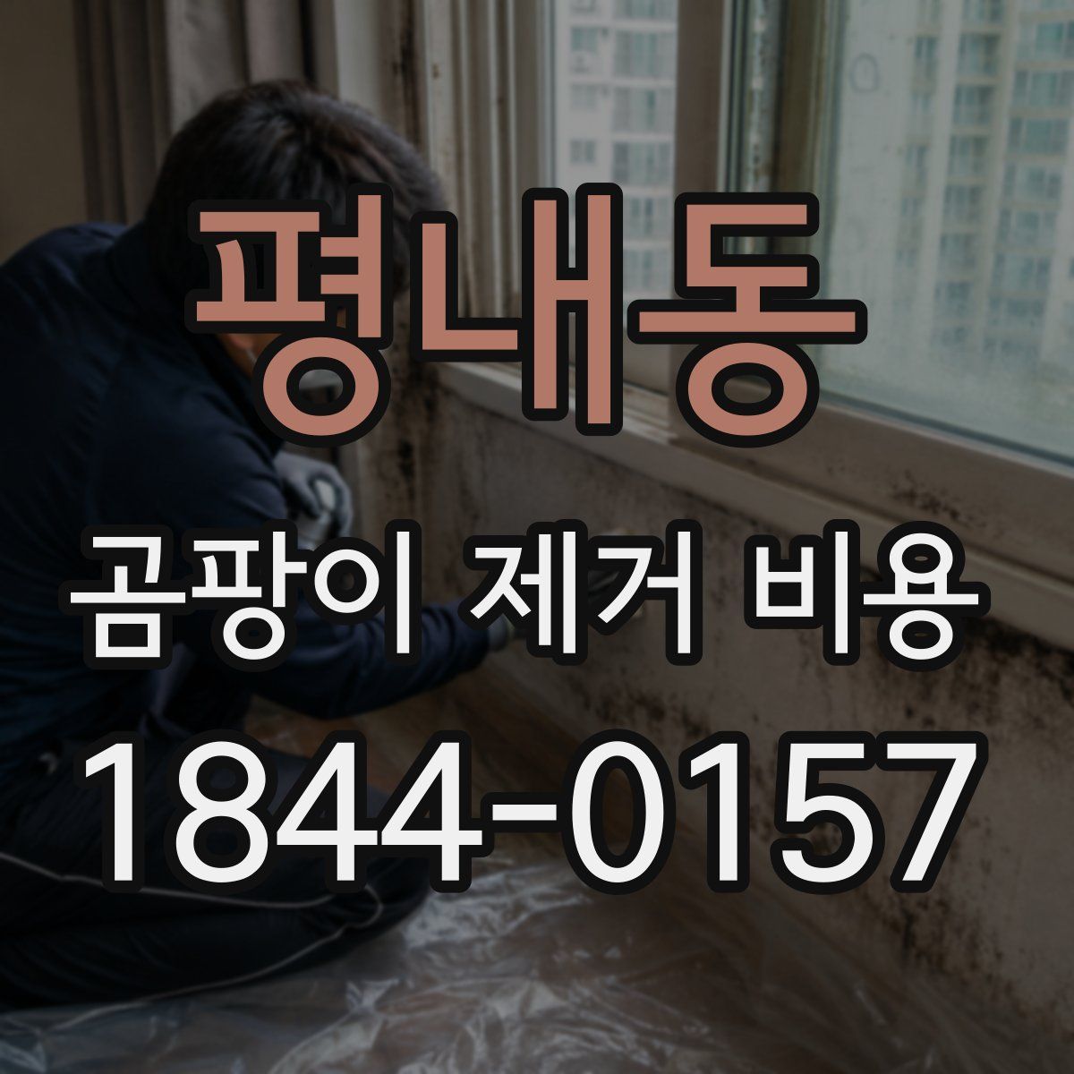 평내동 곰팡이 제거 비용
