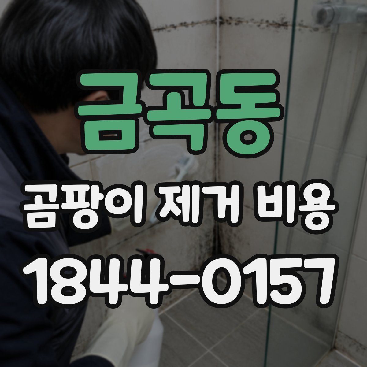 금곡동 곰팡이 제거 비용
