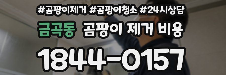 금곡동 곰팡이 제거 비용