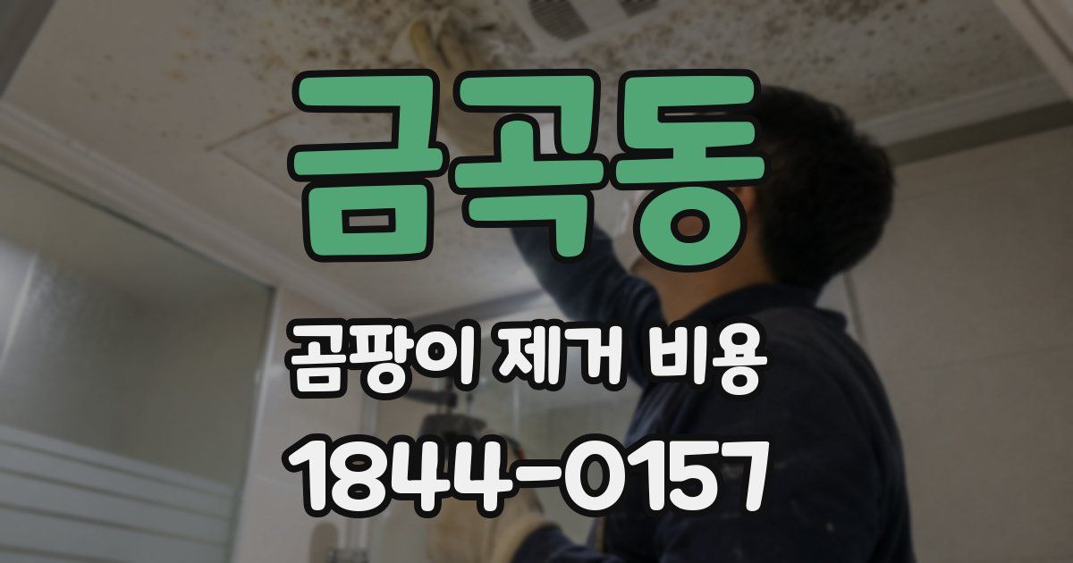 금곡동 곰팡이 제거 비용