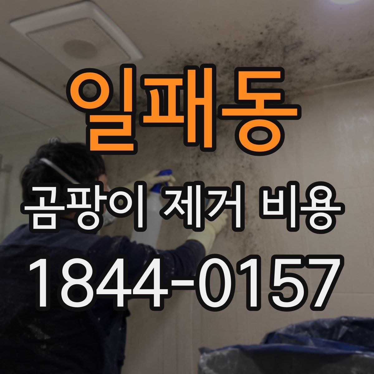 일패동 곰팡이 제거 비용