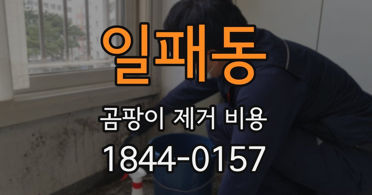 일패동 곰팡이 제거 비용